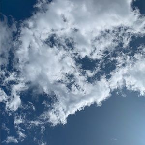 Meet your Posher, Nina